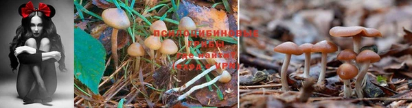 дистиллят марихуана Лихославль