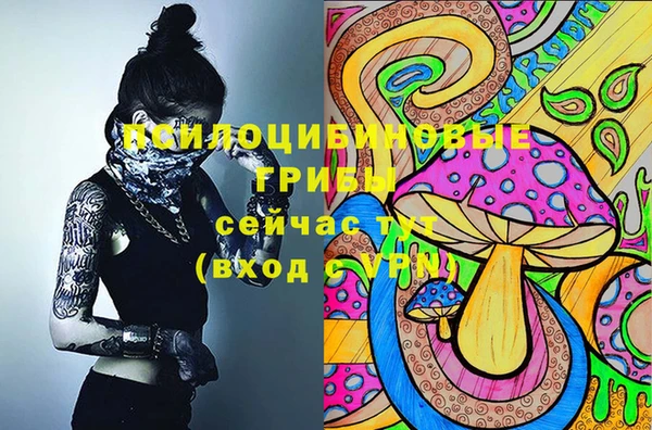 прущий лед Лиски