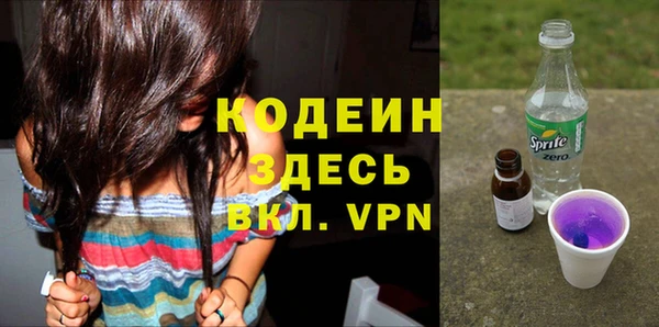 прущий лед Богданович