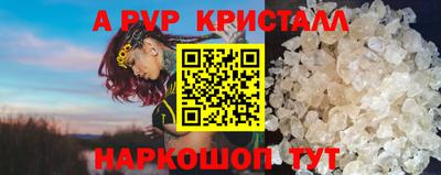 индика Гусиноозёрск