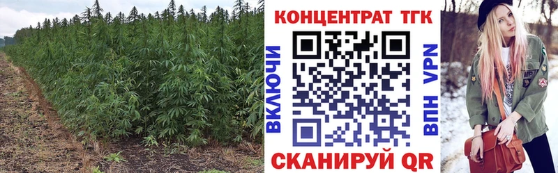 hydra вход  Сокол  Дистиллят ТГК Wax  наркошоп 
