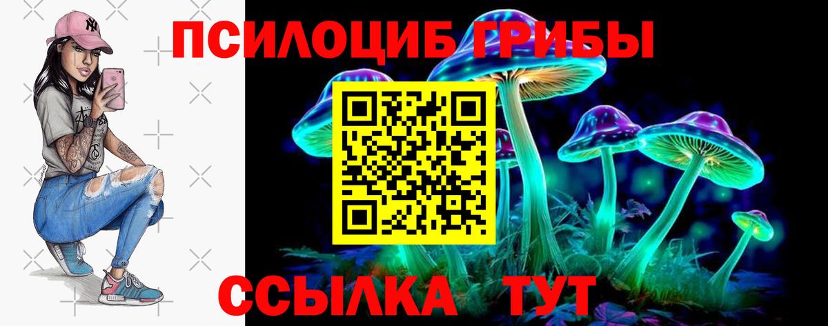 Псилоцибиновые грибы GOLDEN TEACHER  Вход с VPN  Галлюциногенные грибы Magic Shrooms  наркота  Сокол 